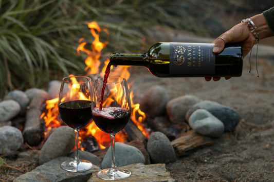 VINO RED BLEND GRAN RESERVA ALTO MAIPO 2019 MANOS ANDINAS 93 PTS - Trasiego Wines