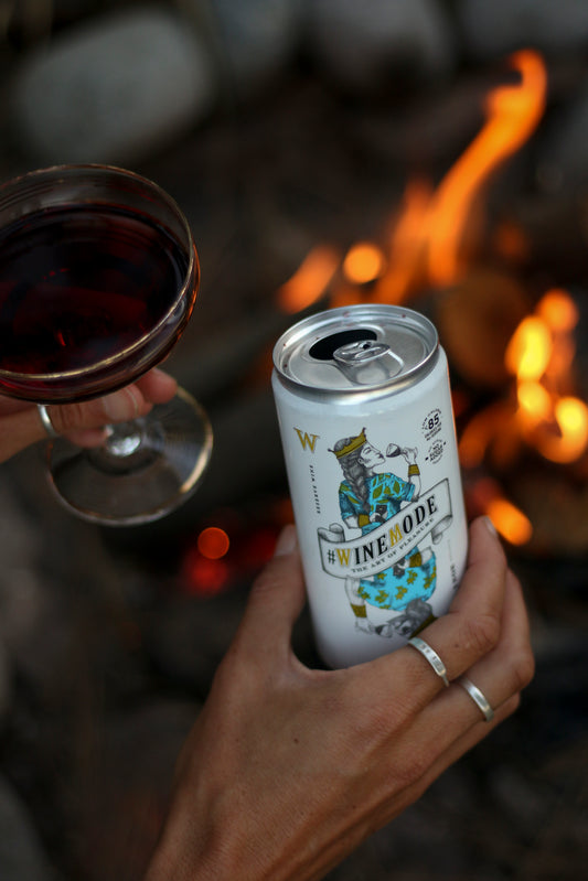 VINO EN LATA PINOT NOIR RESERVA CASABLANCA #WINEMODE 250ML - Trasiego Wines