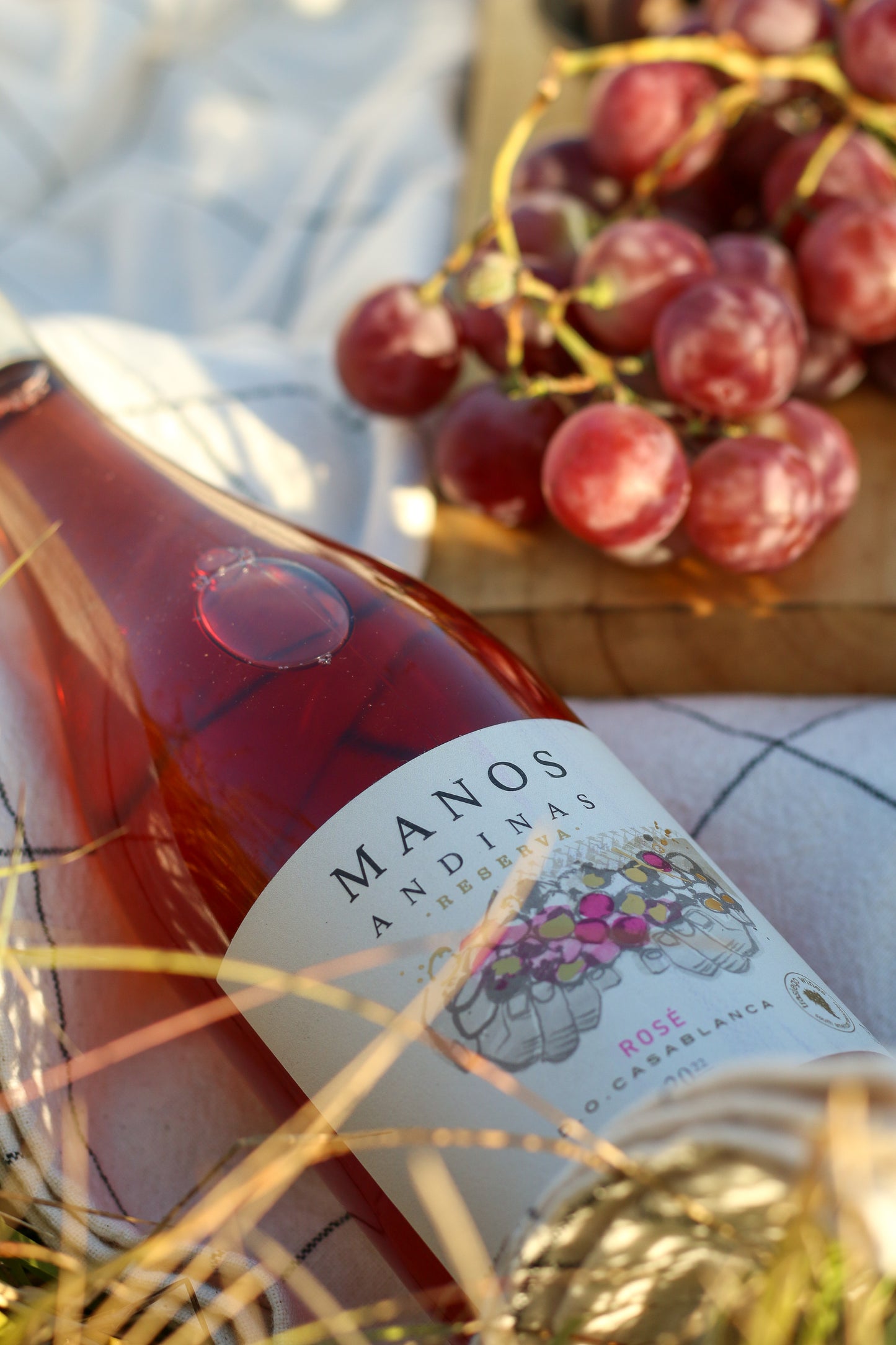 VINO ROSE RESERVA CASABLANCA 2023 MANOS ANDINAS