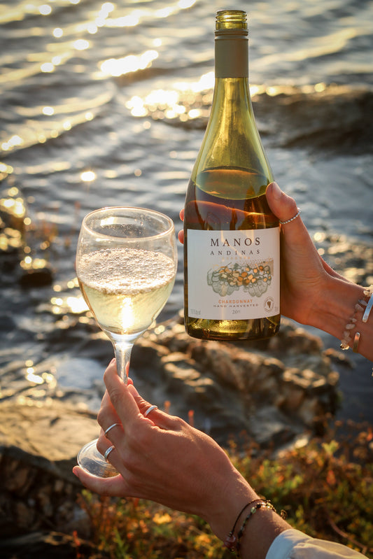VINO CHARDONNAY RESERVA CASABLANCA 2023 MANOS ANDINAS - Trasiego Wines