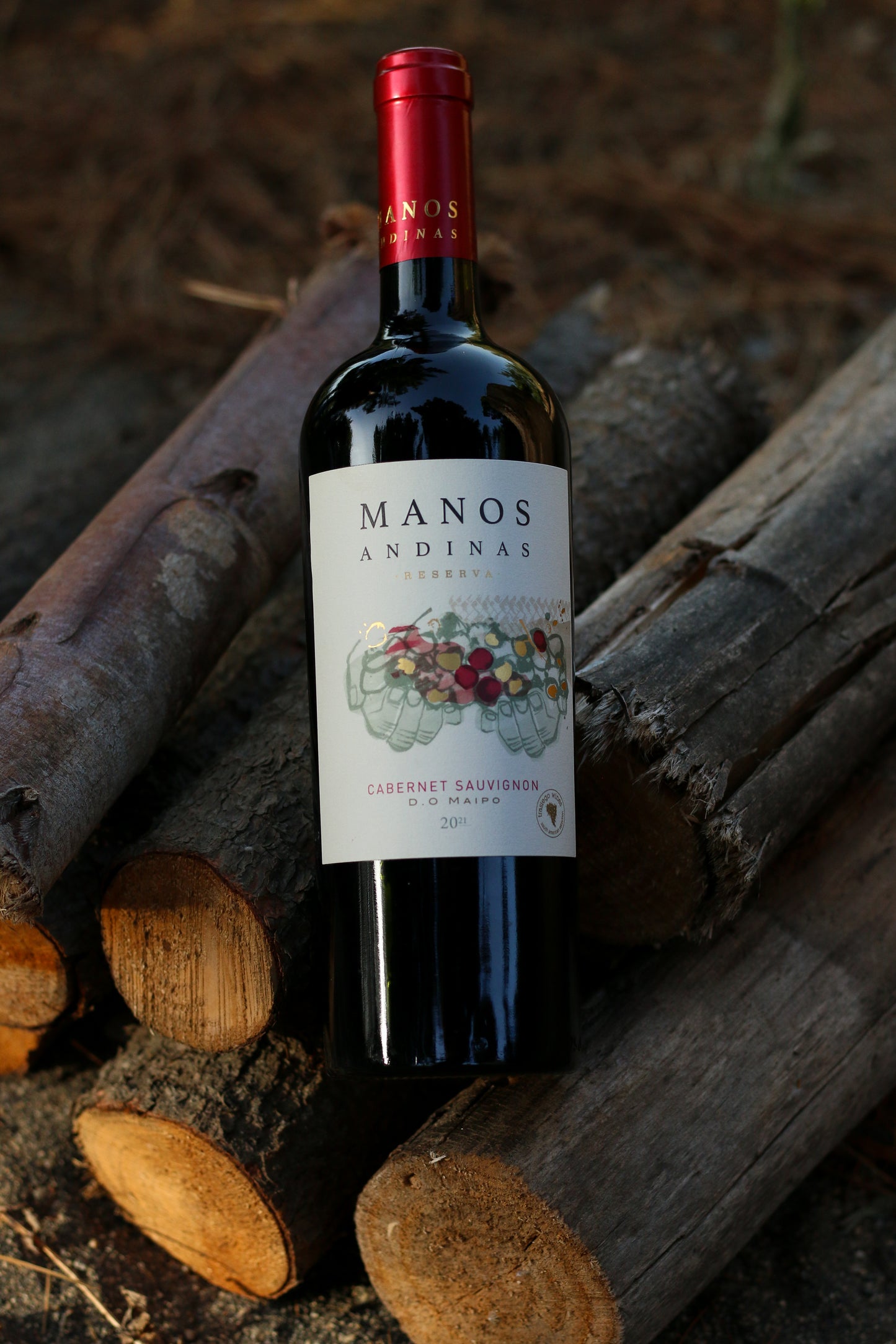 VINO CABERNET SAUVIGNON RESERVA MAIPO 2022 MANOS ANDINAS