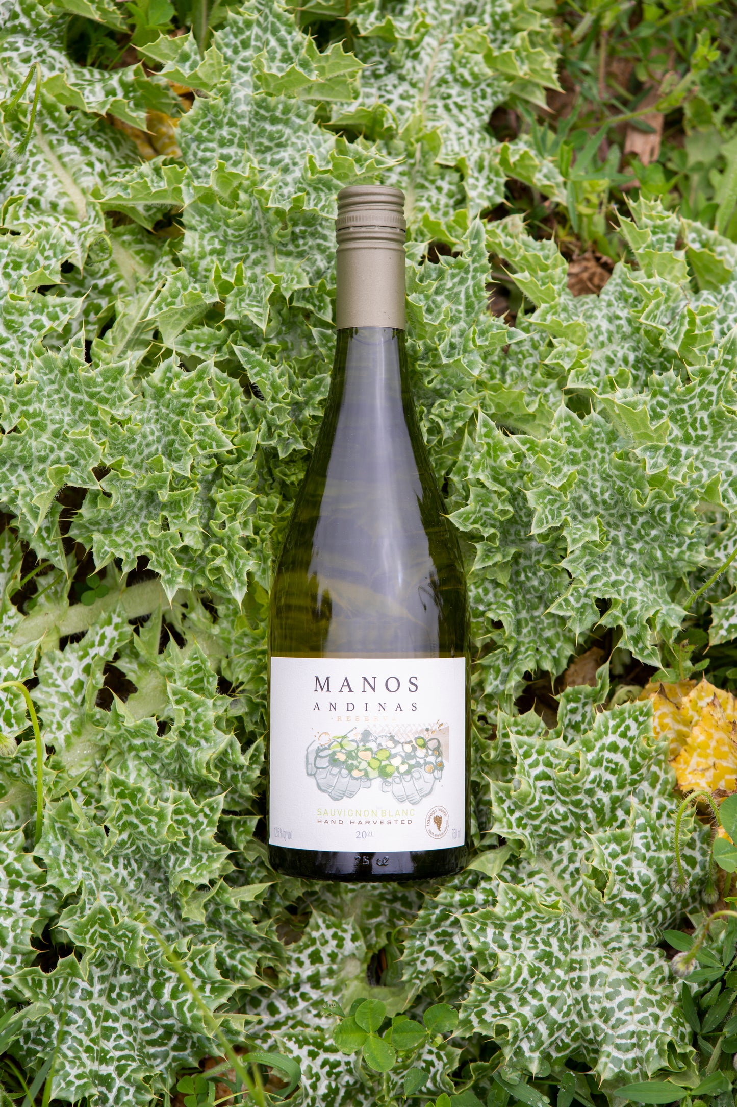 MANOS ANDINAS SAUVIGNON BLANC RESERVA